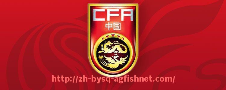 AG捕鱼王官网-世俱杯历届比赛技术统计数据整合与赛季表现总结