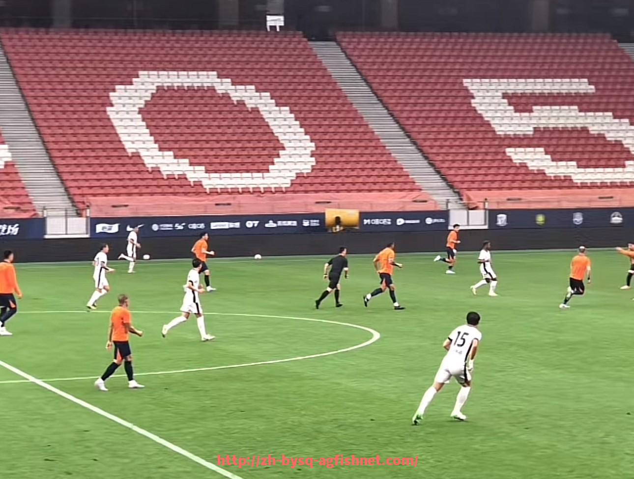 AG捕鱼王官网-中国球员在英超踢球的历史与现实挑战