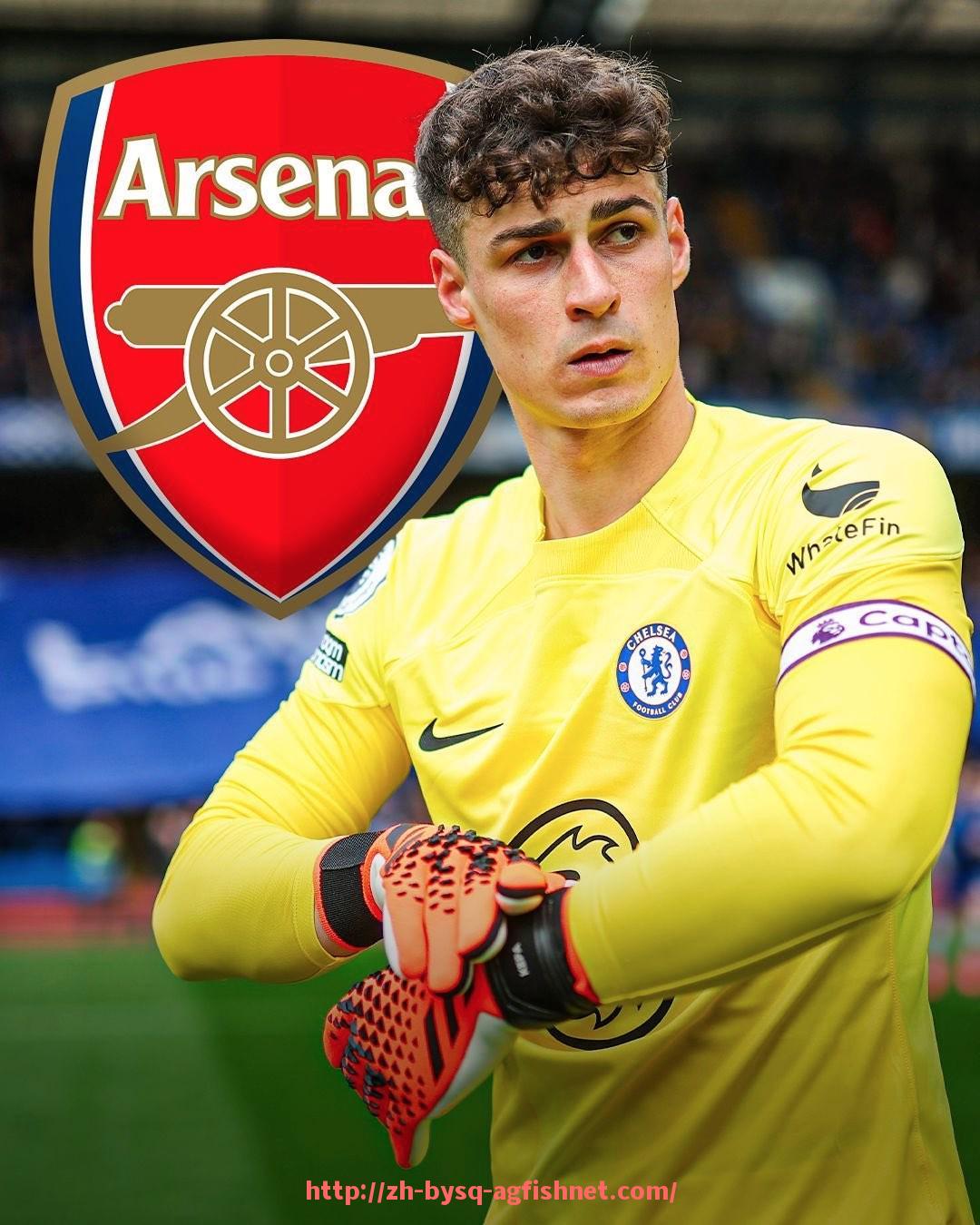 AG捕鱼王官网-英超狮子吉祥物盘点：俱乐部吉祥物文化与品牌建设