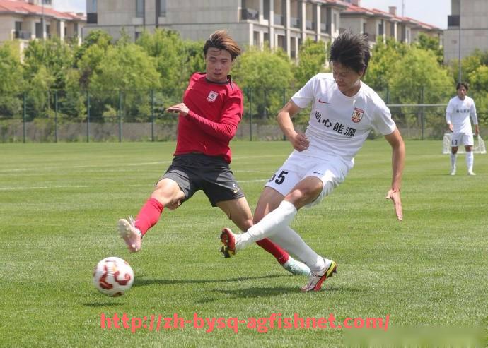 AG捕鱼王官网-英超联赛中的巴西球员表现与影响力